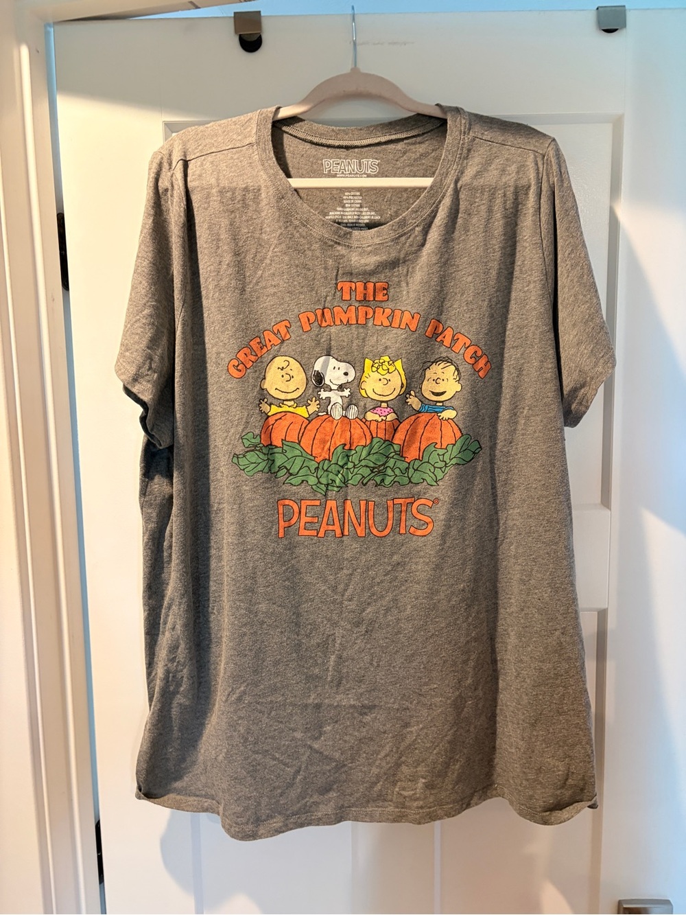 Peanuts  Women’s Plus Size 4 Great Pumpkin Patch Graphic Tee - Gray